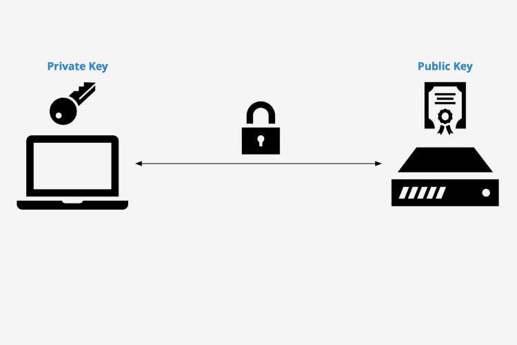 SSH Access Keys Setup(new) For Your Github Account